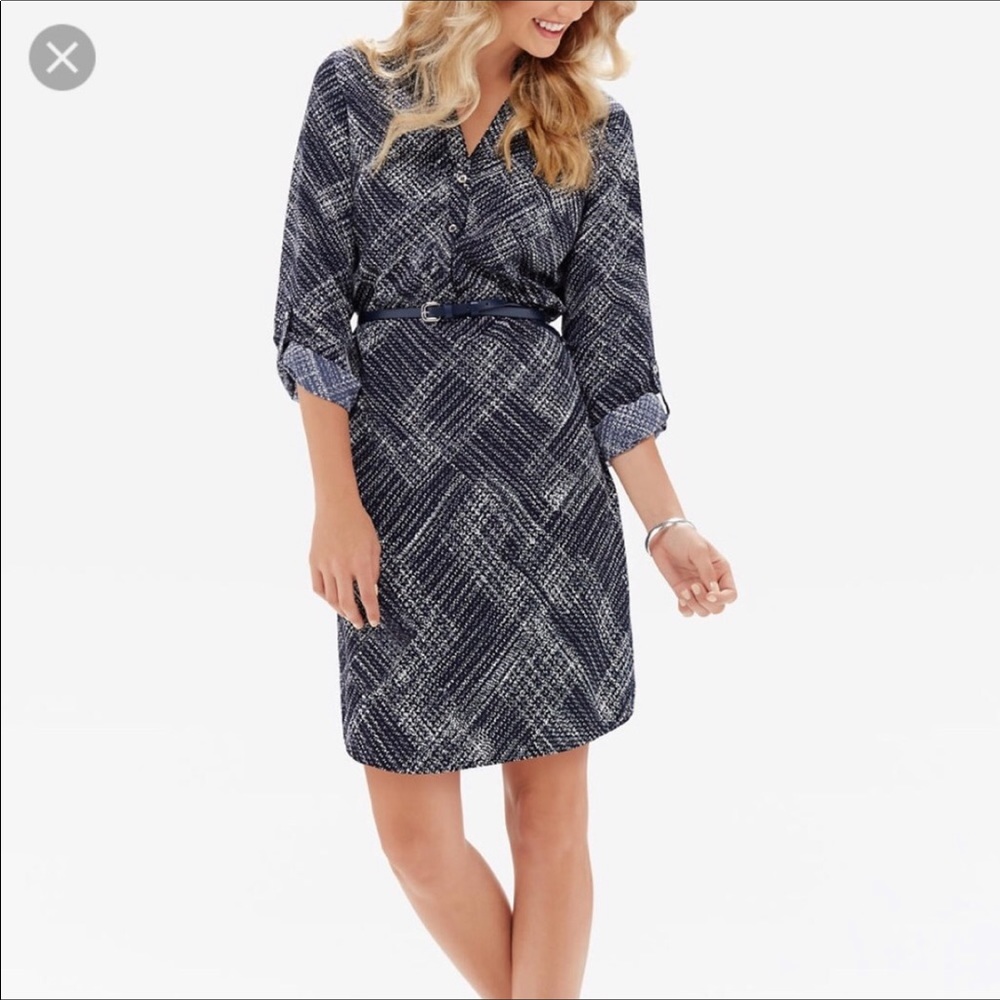 The Limited Ashton Dress